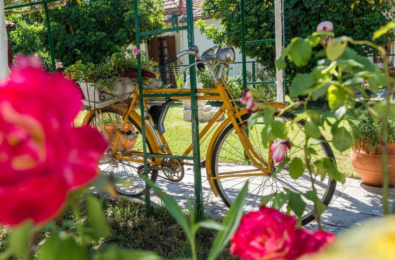 Villa Anna Apartments - 550M From The Beach, By Zantewize Ανω Βασιλικος Εξωτερικό φωτογραφία